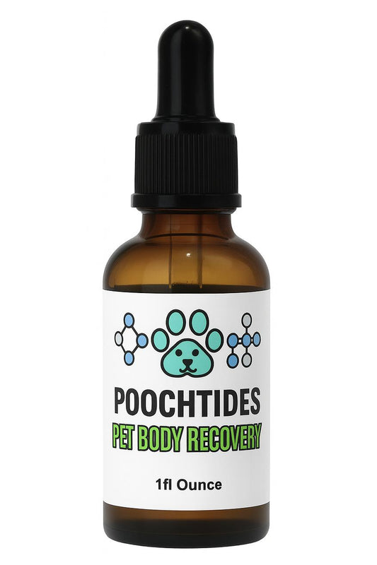 POOCHTIDES Pet Body Recovery
